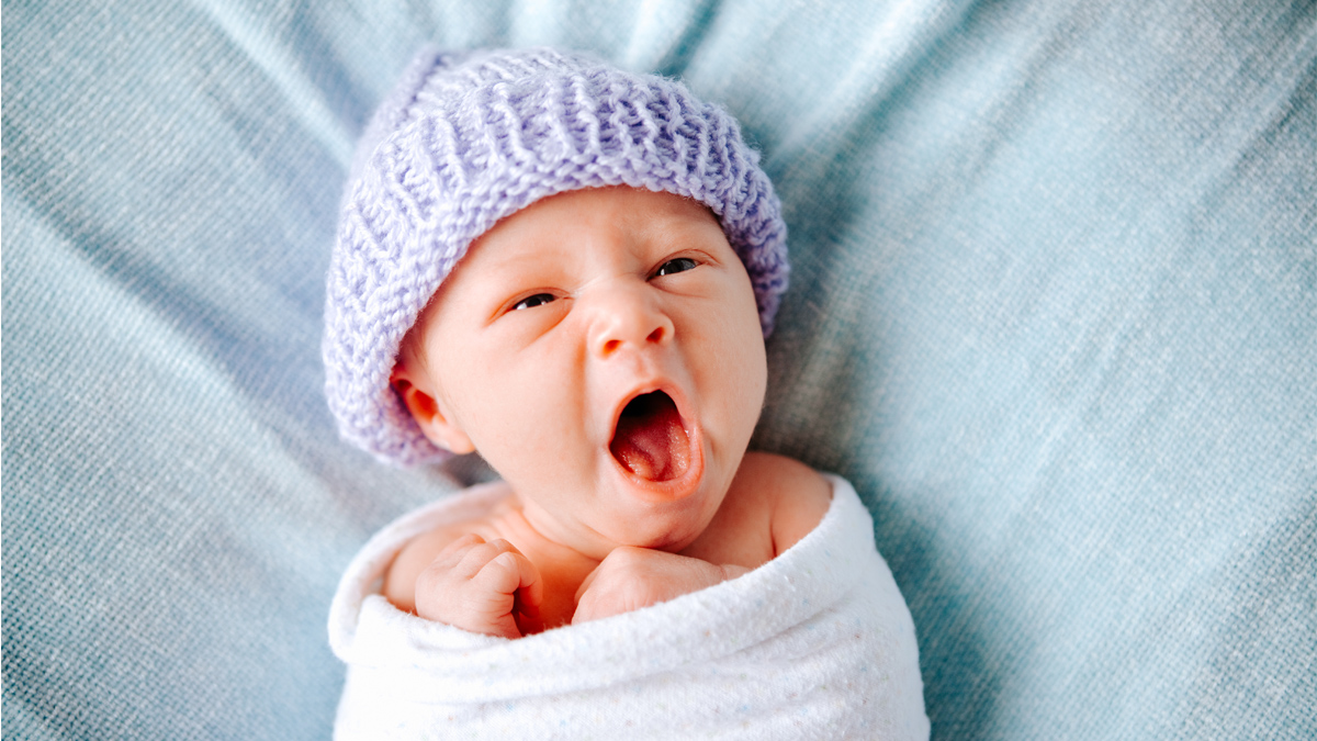 新生婴儿 beanie故事 关于奇异婴儿事实